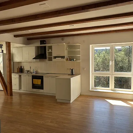 Palepe Vanagupeje Cozy Attic Retreat Apartament Połąga