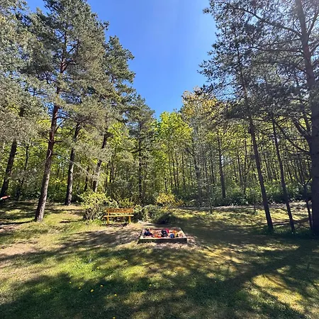 Apartament Palepe Vanagupeje Cozy Attic Retreat Połąga